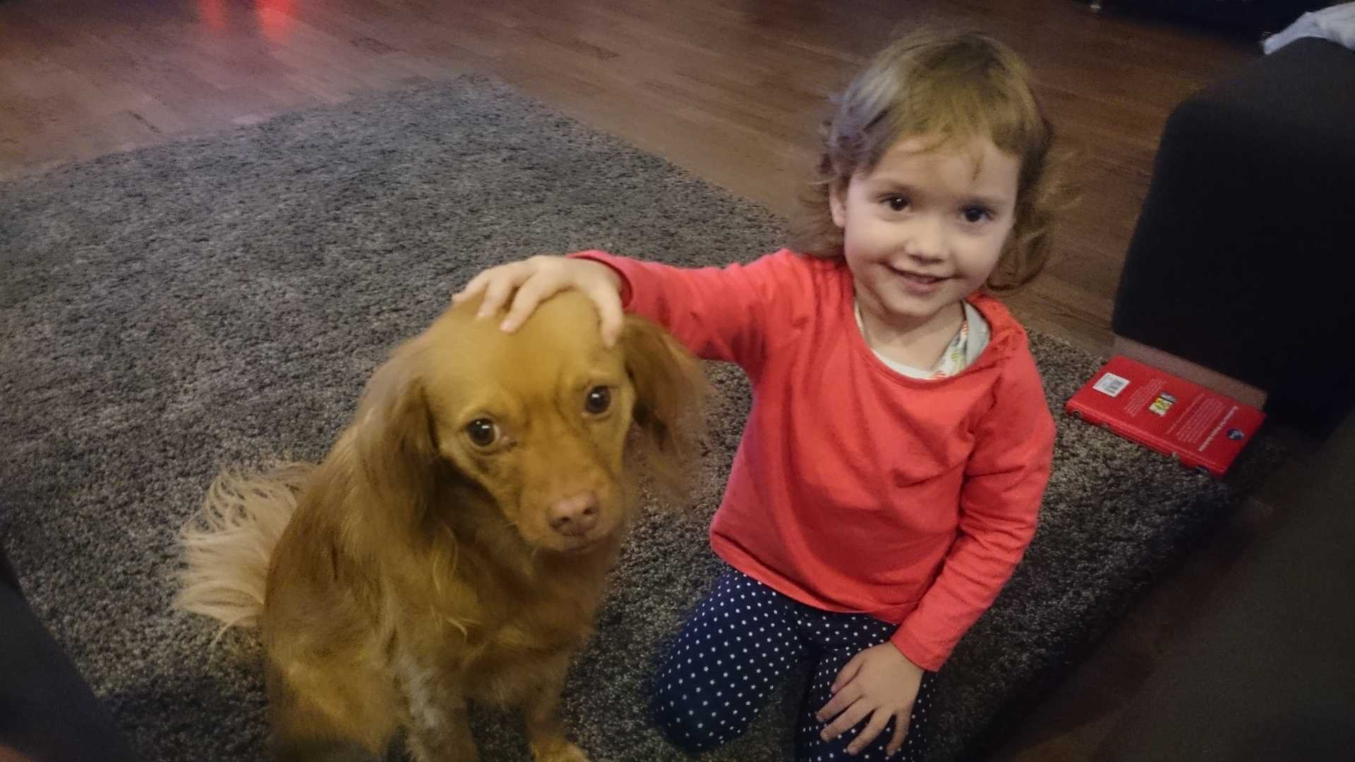 Bild eines Kindes mit Hund